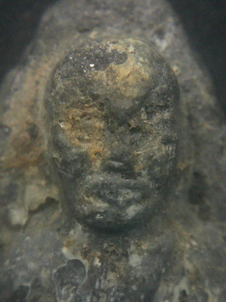 พระภูธร