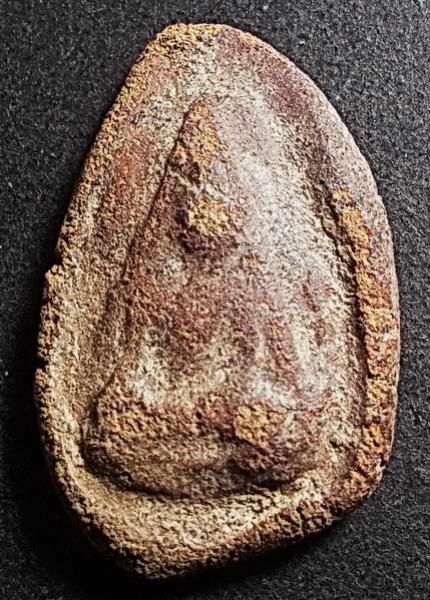 พระภูธร