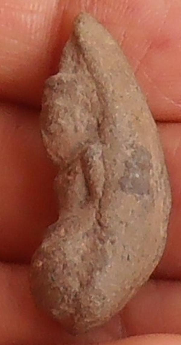 พระภูธร