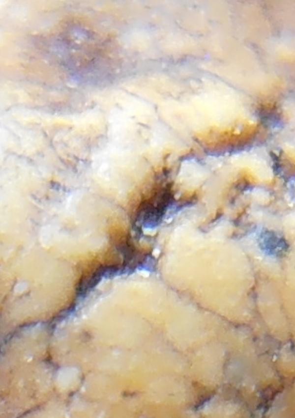 พระภูธร