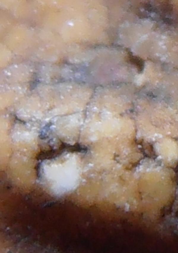 พระภูธร